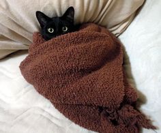 a black cat peeking out from under a brown blanket on a white bedding set