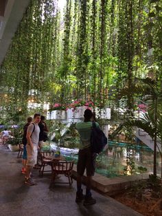 people are standing in an indoor garden with plants hanging from the ceiling