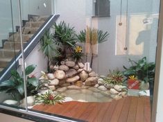 an indoor pond with rocks and plants in it