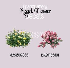 three different types of flowers are shown in the same image, each with their own name