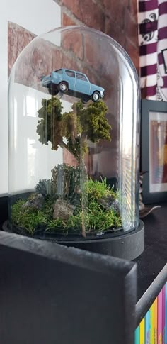 a car under a glass dome on top of a book shelf with moss and rocks