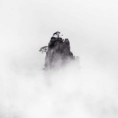 a black and white photo of a mountain in the fog with trees on top of it