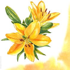 a watercolor painting of yellow lilies with green leaves