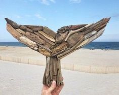 a person holding up a piece of drift wood