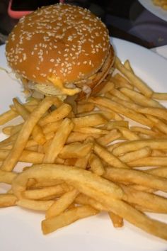 a hamburger and french fries on a plate