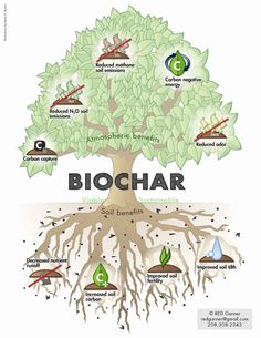 a tree with the words biochar on it and several different types of roots