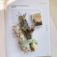 an open book with dried flowers on it