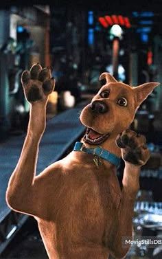 a brown dog standing on top of a train track with his paw in the air