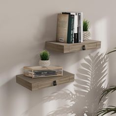 two wooden shelves with books and plants on them