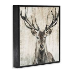 Stupell Industries Rustic Deer Elk Wildlife Portrait Framed On Wood by Liz Jardine Graphic Art | Wayfair Decorating With Deer, Decorating With Deer Mounts, Deer Mounts, Antler Design, Black Framed Art, Deer Art, Brown Wall Art, Portrait Wall, Wall Art Plaques