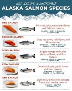 ALASKA SALMON SPECIES Alaskan Salmon Recipes, Culinary Boards, Chef Knowledge, Primal Lifestyle, Salmon Species, Culinary Lessons, Alaska Salmon, Wild Caught Fish, Alaskan Salmon