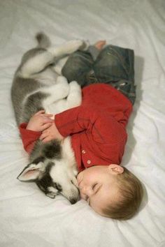 a little boy laying on top of a bed next to a husky dog and puppy