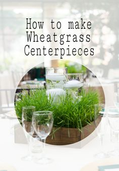 a table with glasses and plants on it that says how to make wheatgrass centerpieces