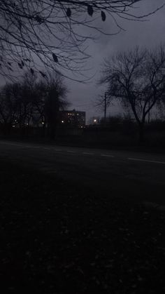 a dark street with trees and buildings in the background