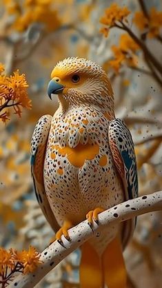 a yellow and blue bird sitting on top of a tree branch next to flowers in the background