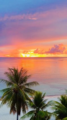 the sun is setting over the ocean with palm trees