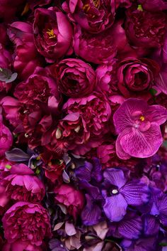 purple and red flowers are arranged together