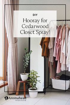 an open closet with clothes hanging on the rack and a potted plant next to it