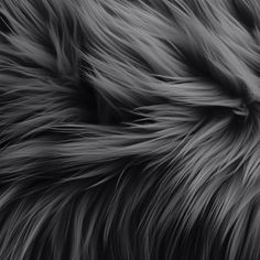 black and white photograph of furry fur