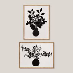 two framed black and white prints with flowers in vases on the same wall,