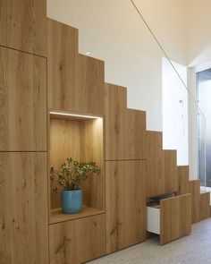 a room with some shelves and a potted plant