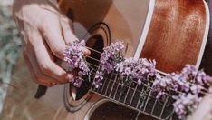 a person holding a guitar with flowers on the strings and in front of them is a purple flower