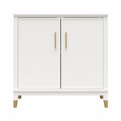 Westerleigh 2 Door Accent Cabinet - White Console Cabinet Living Room, 2 Door Accent Cabinet, 2 Door Cabinet, Cabinet Living Room, Door Accent Cabinet, Cosmoliving By Cosmopolitan, Multipurpose Furniture, Storing Books, Room White