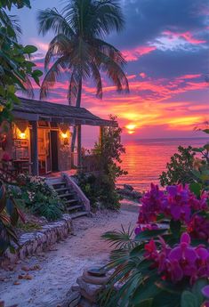 the sun is setting over the ocean and some flowers are blooming on the beach