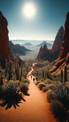 the sun shines brightly over a desert landscape with cacti and cactus trees