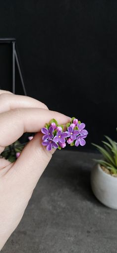 Lilac earrings, Purple earrings, Flower stud earrings, Deep purple jewelry, Lilac jewellery, Flower gift for her Size: Earrings length - 0.8 inches (2.1 cm) Width - 0.7 inch (1.8 cm) Material: Polymer Clay Matching necklace is here : https://clayfloraljewelry.etsy.com/listing/1711321306 All details are handmade by me with love. Please note! Colors may differ depending on the settings of your monitor Thank you for your visit ) Lilac Earrings, Woodland Jewelry, Purple Jewelry, Earrings Purple, Flower Stud Earrings, Purple Earrings, Earrings Flower, Flower Stud, Clay Charms