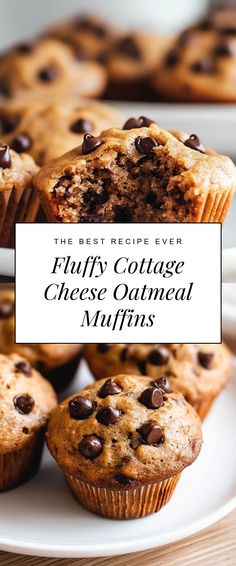 Image for Fluffy Cottage Cheese Oatmeal Muffins Healthy Recipes With Oatmeal, Homemade Breakfast Muffins Healthy, Healthier Breakfast Muffins, Healthy Oatmeal Muffins For Kids, Healthy Freezer Muffins, Easy High Protein Muffins, Cottage Baking Recipes, Pumpkin Muffins Cottage Cheese, Flourless Oatmeal Muffins