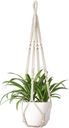 a potted plant hanging from a rope