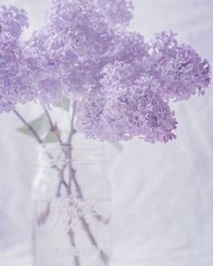 a glass vase filled with purple flowers on top of a table