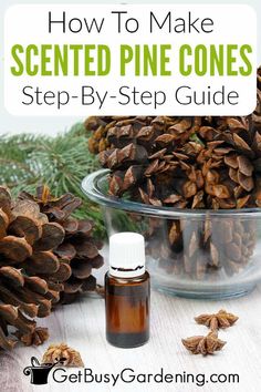 pine cones in a glass bowl next to an essential oil bottle with the words how to make scented pine cones step - by - step guide