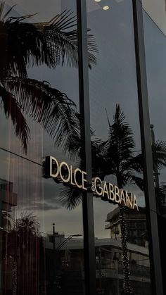 reflection of palm trees in the glass windows of a restaurant called dolce & gabbana