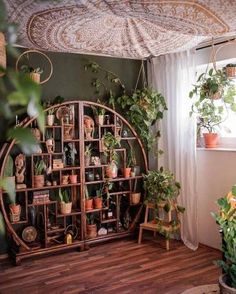 a room filled with lots of potted plants and greenery on shelves next to a window