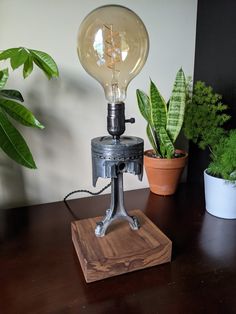 a light bulb sitting on top of a wooden table next to plants and potted plants