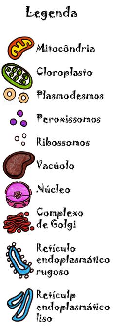 an image of food that is written in spanish and has many different things on it