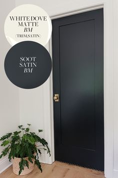 a black door with the words white dove and matte on it next to a potted plant