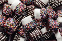 chocolate covered candies with sprinkles and marshmallows