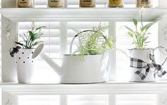 some plants are sitting in white pots on a window sill