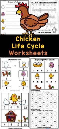 chicken life cycle worksheets for kids to practice their handwriting and numbers with pictures