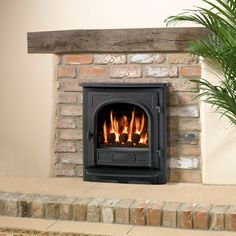 a brick fireplace with flames in it and a potted plant next to the fire