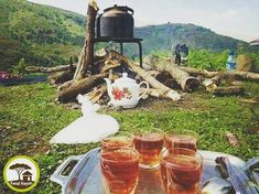 three glasses of tea sitting on top of a tray next to a pile of logs