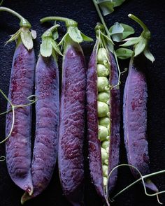 some purple beans with green leaves and water droplets on the top are laying next to each other