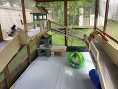 a cat sitting on top of a bed next to a green ball in a room