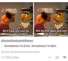 the muppets are talking to each other in front of a mirror with caption that reads, bert have you seen my waste paper basket? ask me if i'm