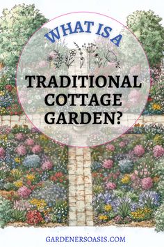 Traditional Cottage Garden Ideas Lush Backyard, Small Cottage Garden Ideas, Backyard Cottage, Garden Benches, Charming Cottage, Traditional Cottage