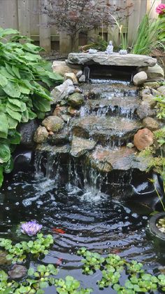 a small pond with water lilies and rocks