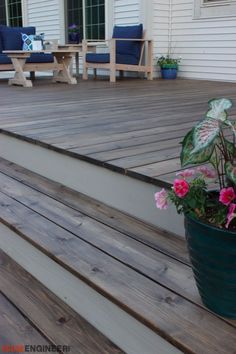 a potted plant sitting on top of a wooden deck